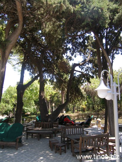 rodos 007